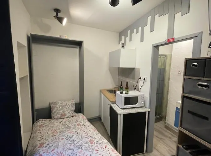 Ambert Centreville La Studette Tout Confort